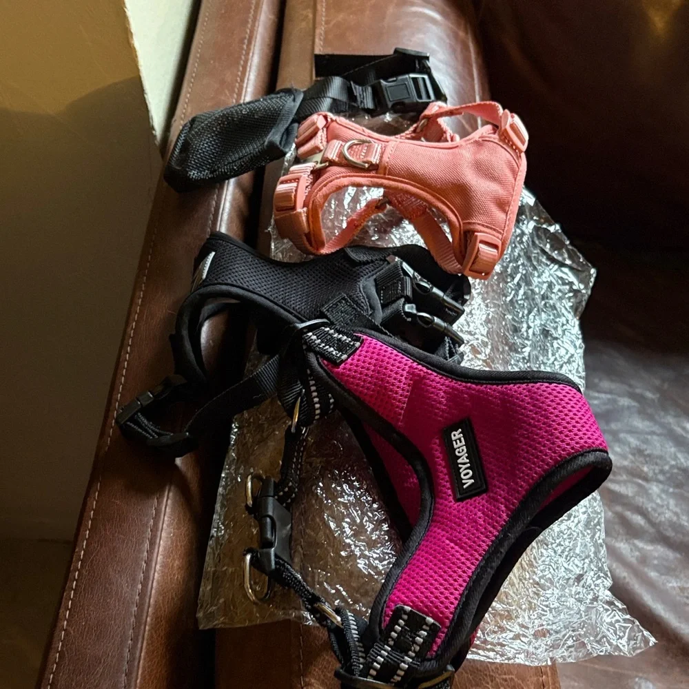 Voyager Dog Harness Set - Black, Pink, Orange